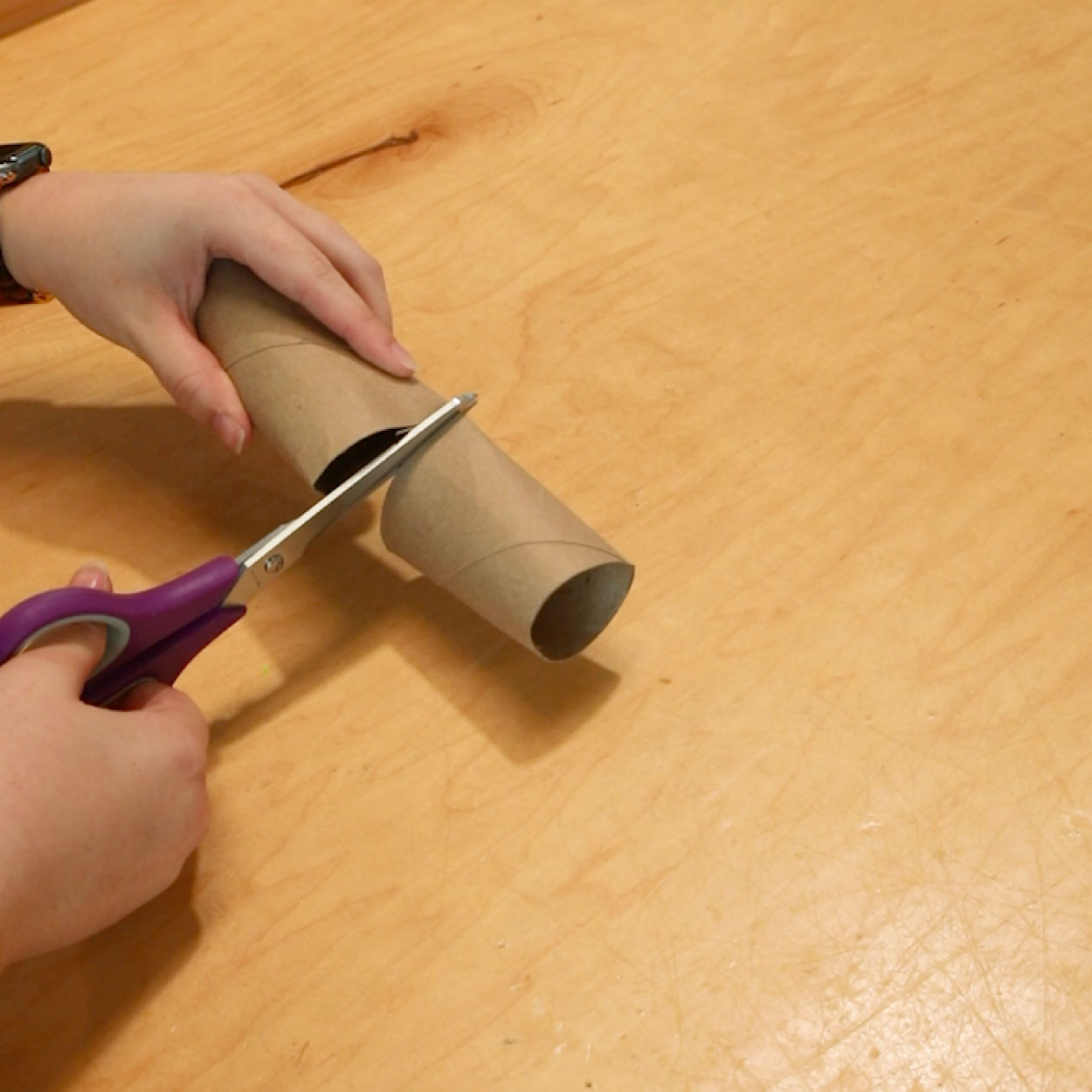 Paper towel roll being cut in half