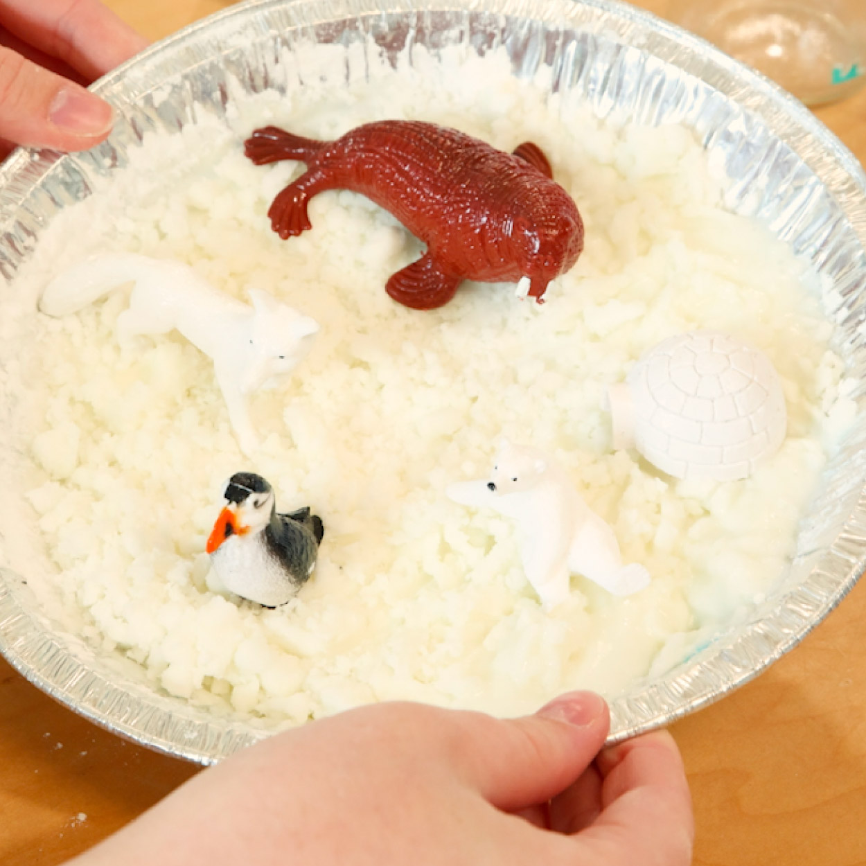 Step-08 Final arctic sensory bin
