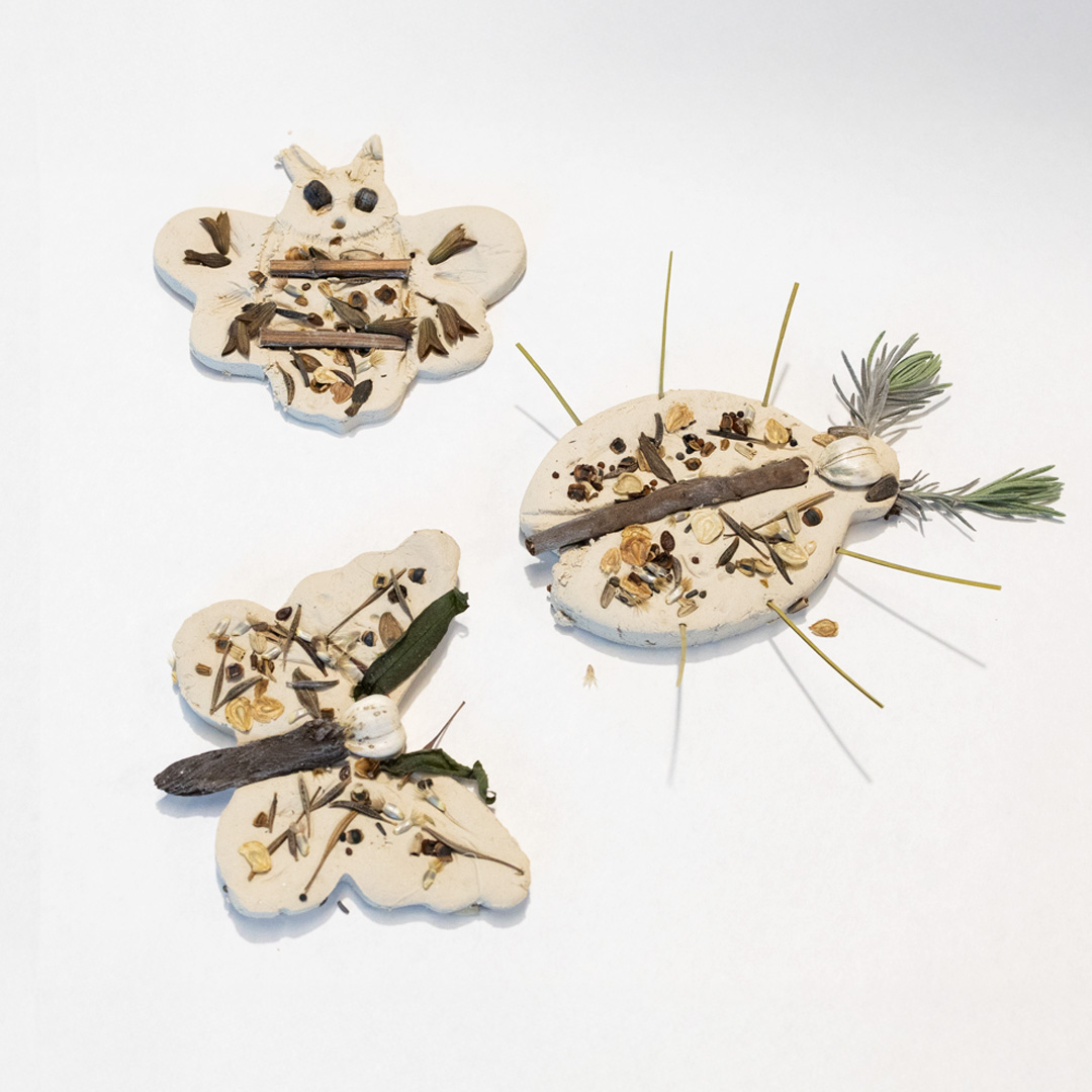 Seed Cookies