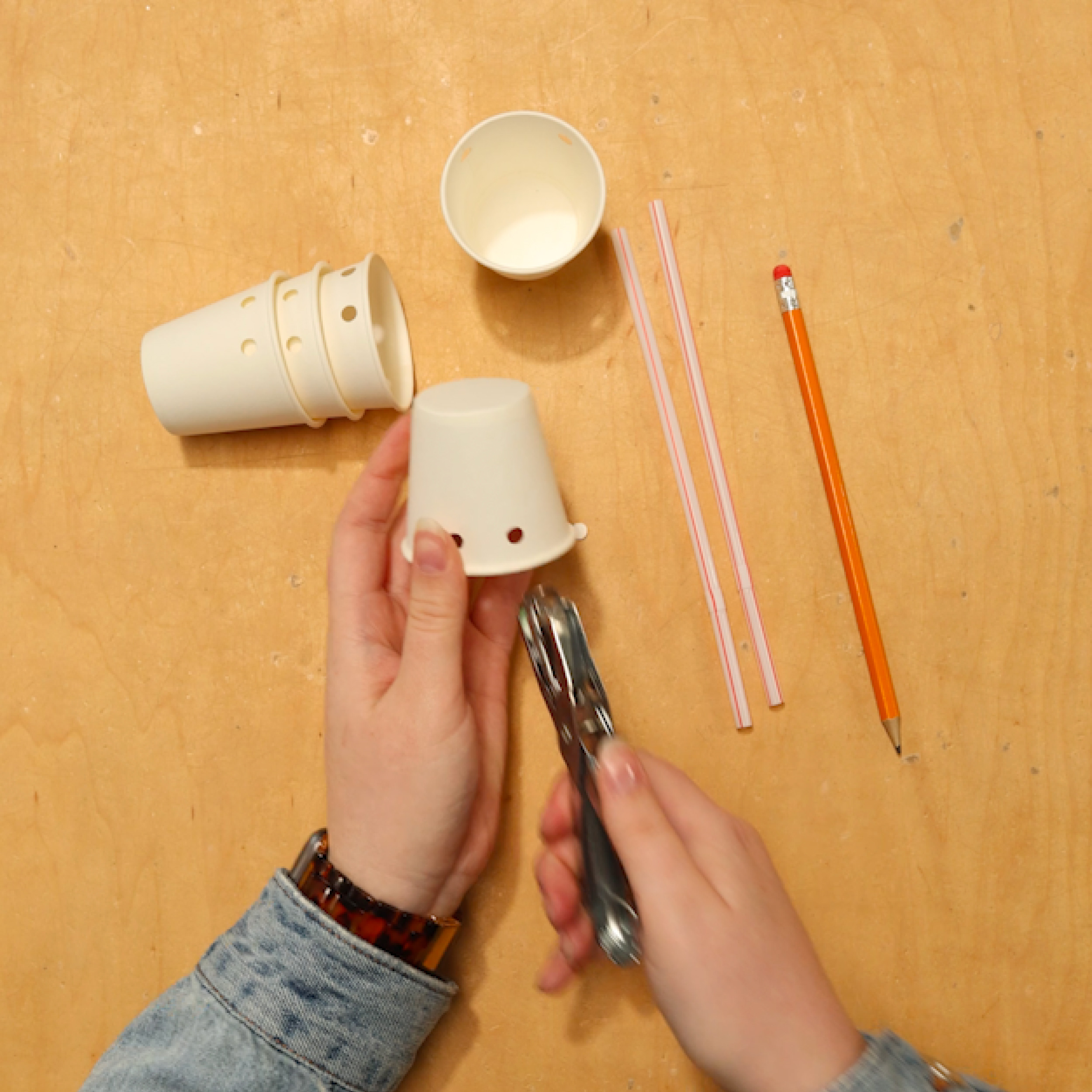Add two holes to four cups